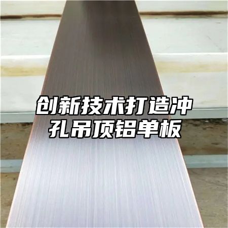 创新技术打造冲孔吊顶铝单板