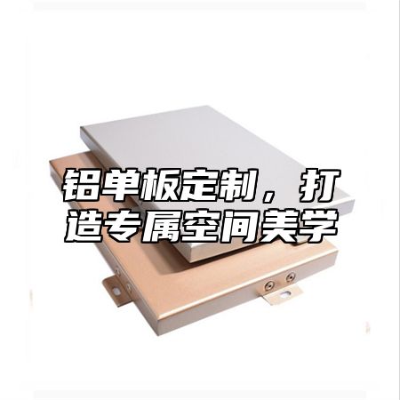 铝单板定制，打造专属空间美学